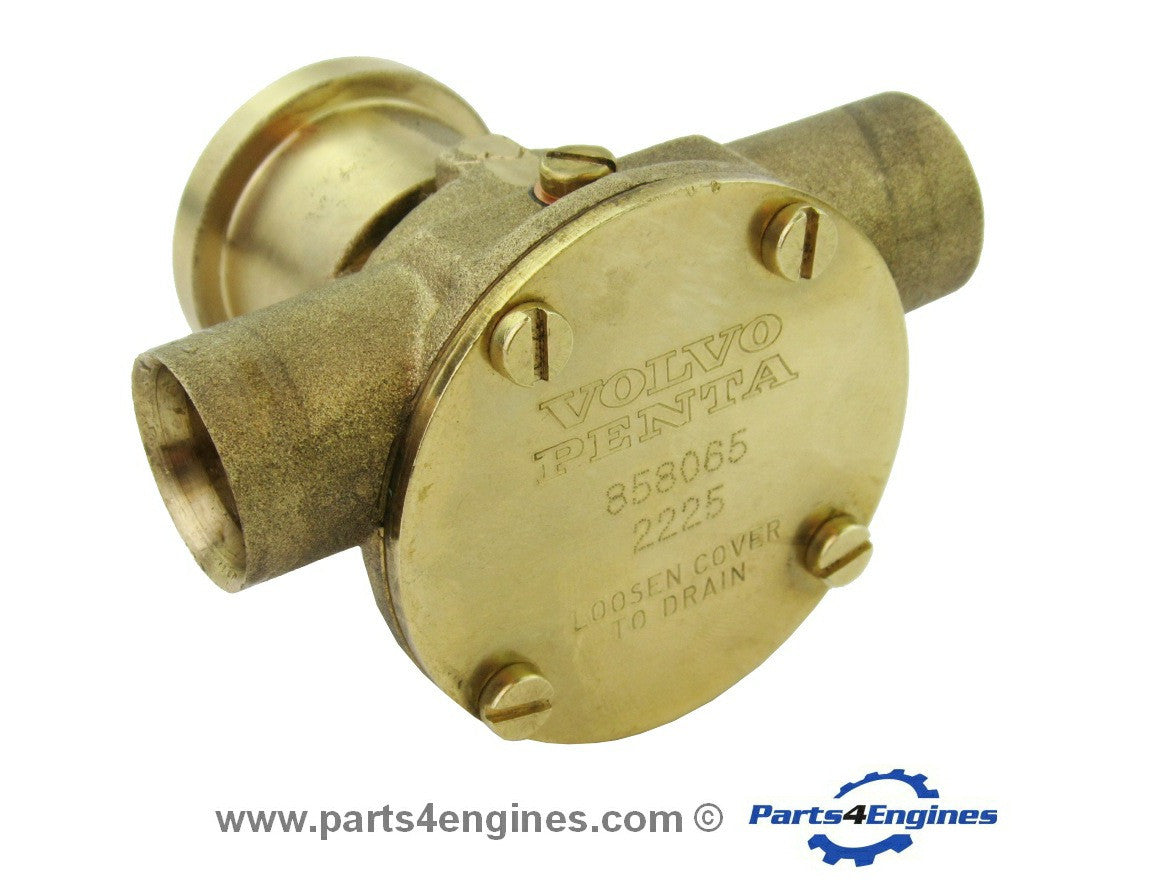 Raw Water Pumps